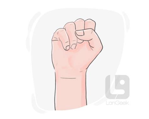 fist definition